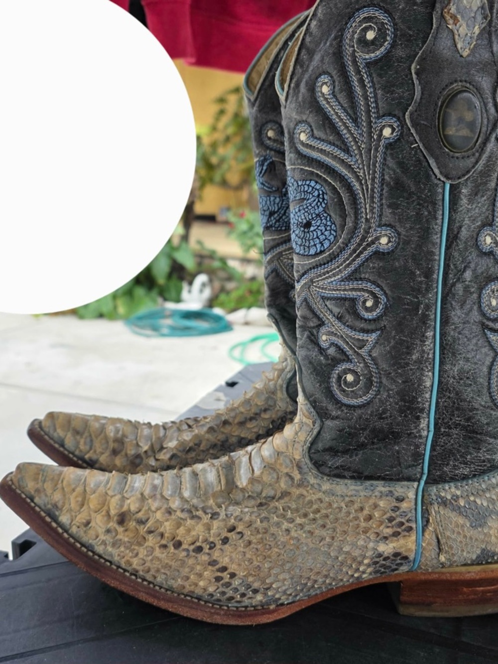 Exotic Snakeskin Toe Cowboy Boots with Embroidered Shaft